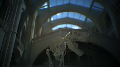 Showcasing chromatic aberration, depth of field and cateye